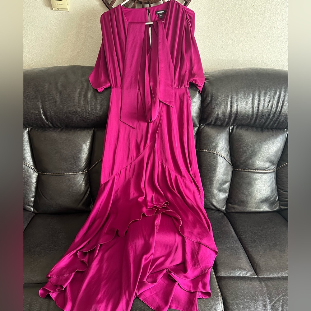 Express Fuchsia Dress